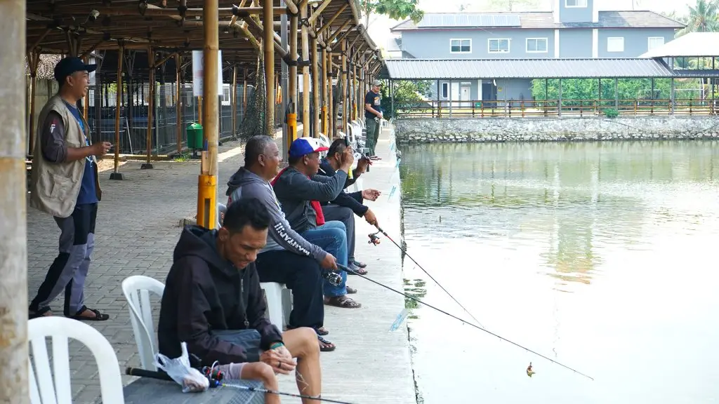 5 Recomendasi Kolam Pemancingan Nila Tangerang